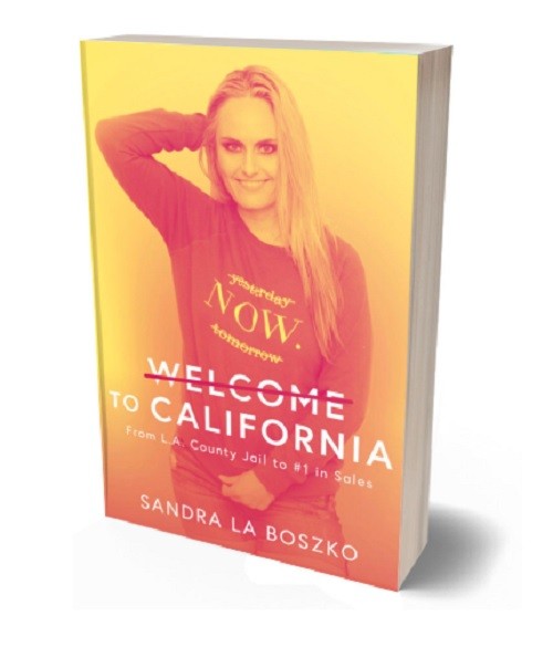 https://www.amazon.ca/Welcome-California-L-County-Sales/dp/1525546449/