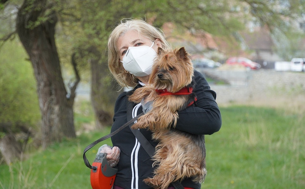 UK launches £500,000 COVID-19 detection dog trials