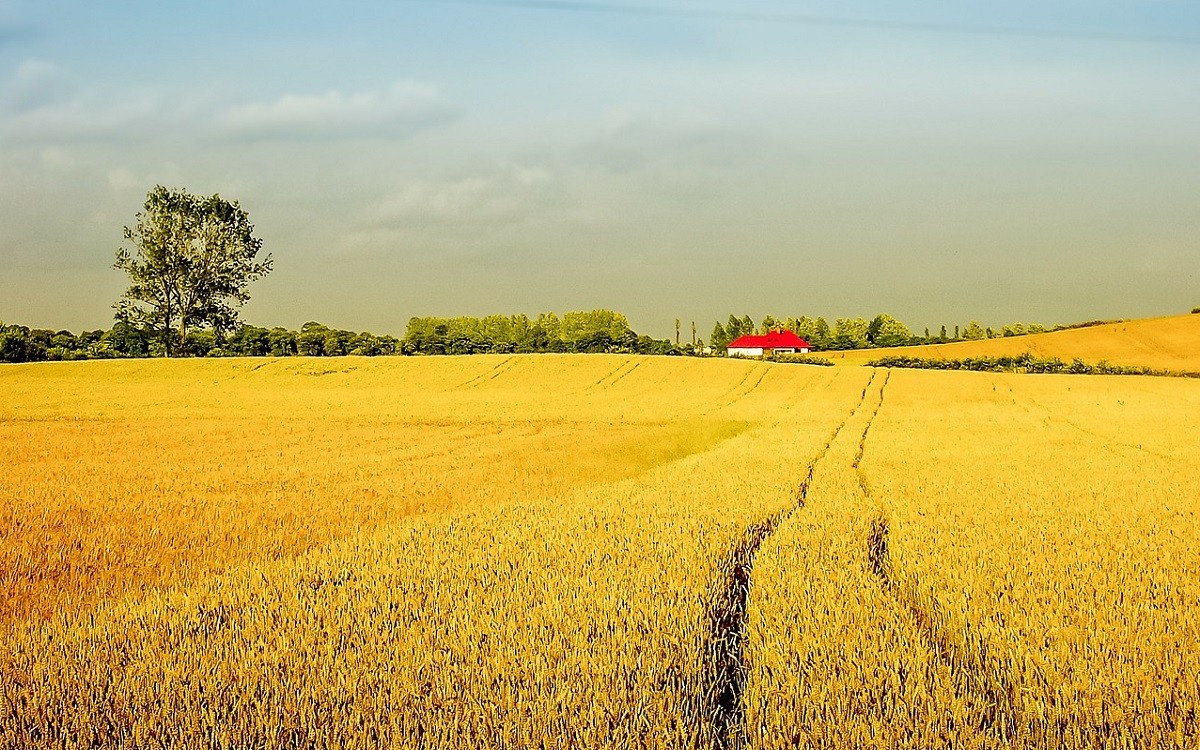 Canadian Government Launches $252 Million Fund For Farmers