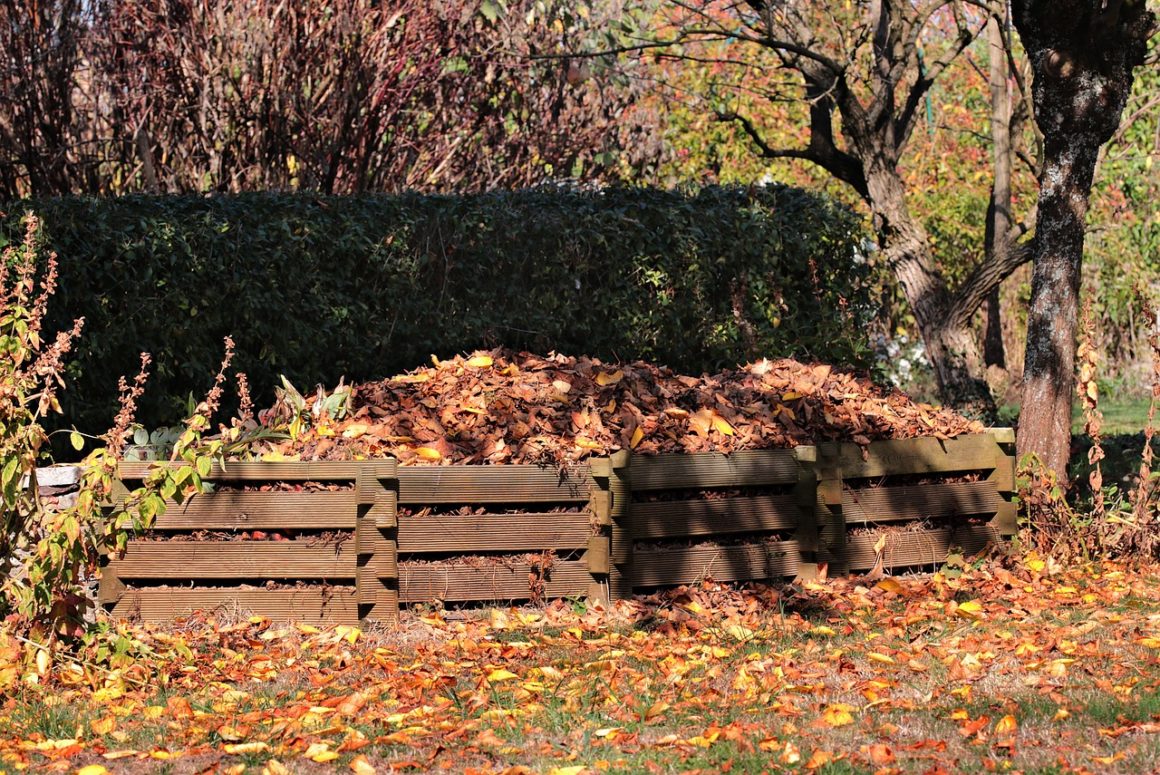 Québec injects $1.2B to extend organic matter collection