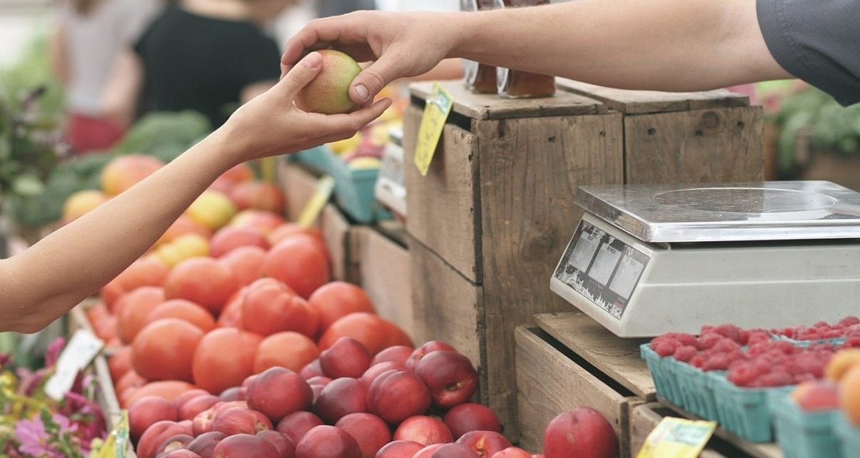 B.C Government Opens Up 5,000 Acres To Farmers To Improve Food Security