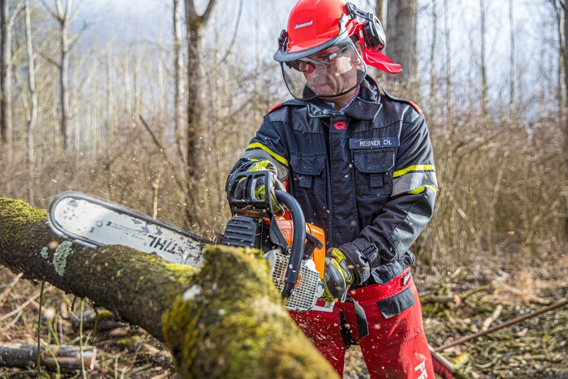 Ontario Invest $5.3 Million Into Forest Sector Employment 