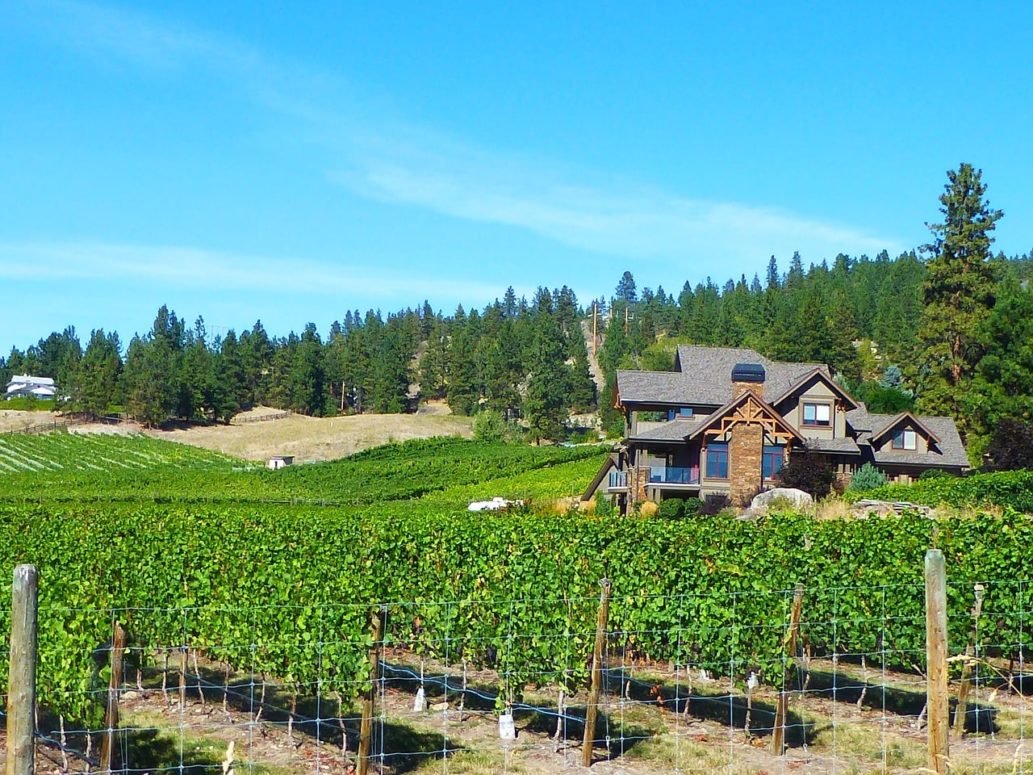 B.C Government Opens Up 5,000 Acres To Farmers To Improve Food Security