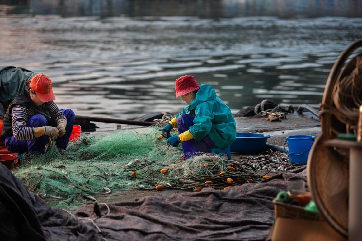 $1 Million More Reasons Why Quebec Is Going To Smell More Fishy