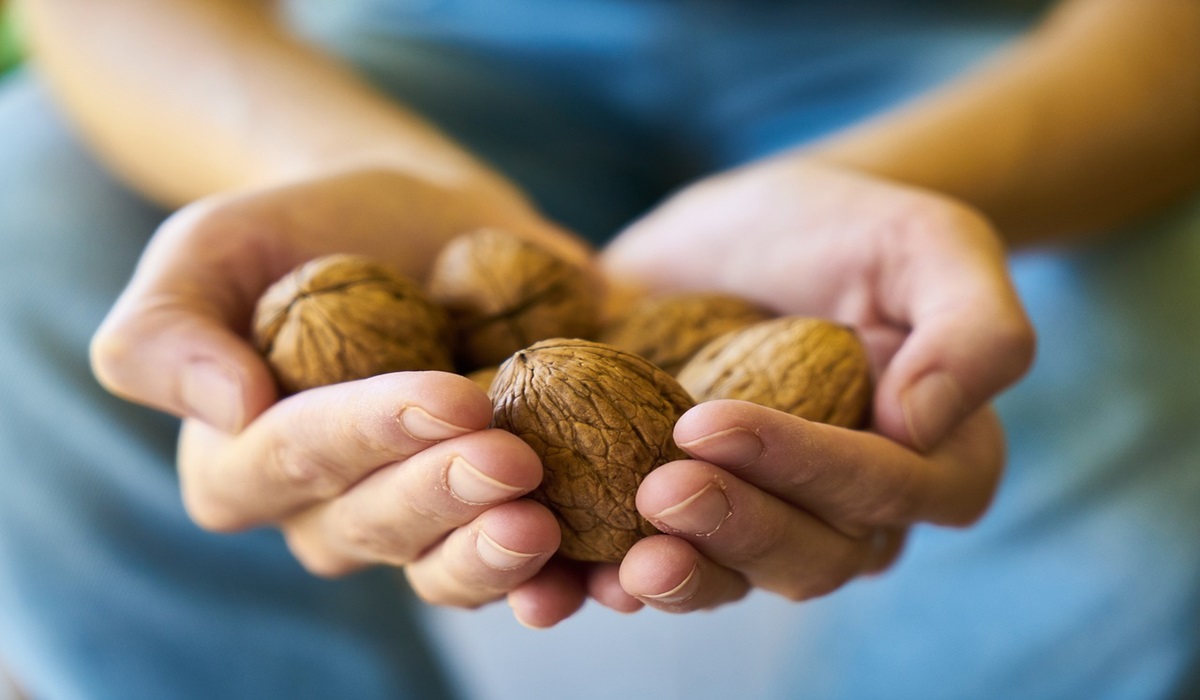 CDC Issues Alert on E. coli Outbreak Linked to Organic Walnuts TDS NEWS