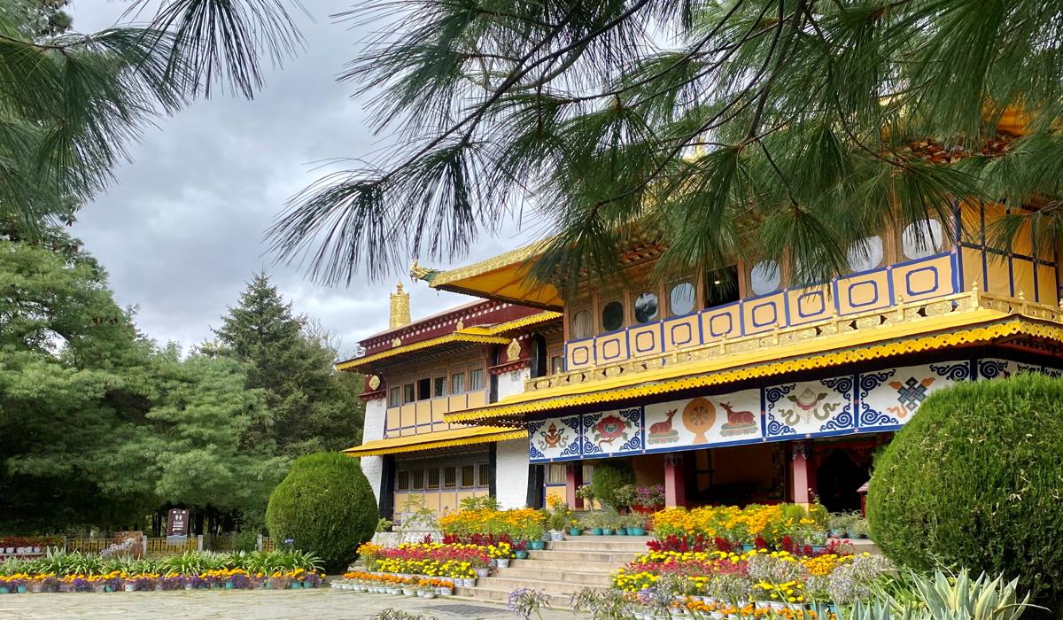 Tibet Palace Feature