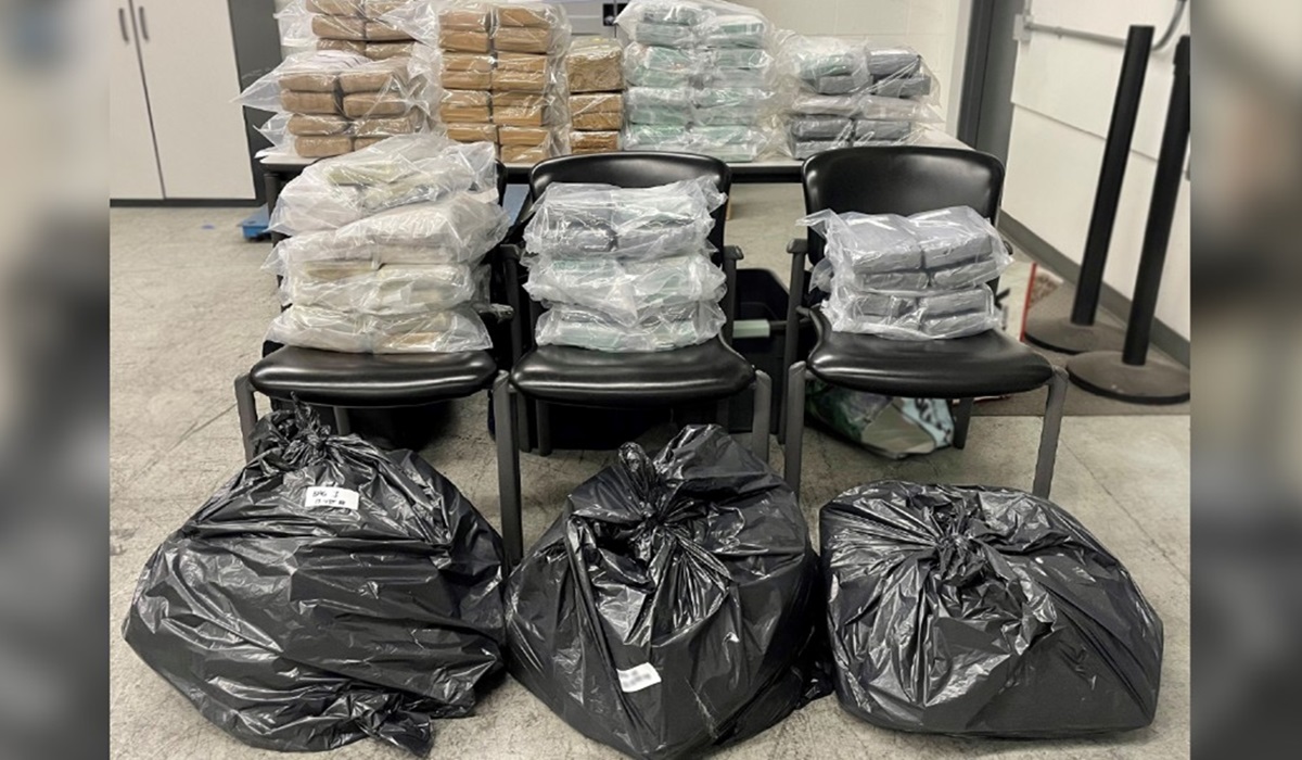 cbsa cocaine bust, canada, the daily scrum news